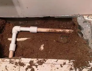 奎文测漏水哪家好