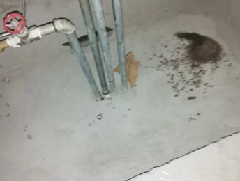 奎文卫生间测漏水价格明细